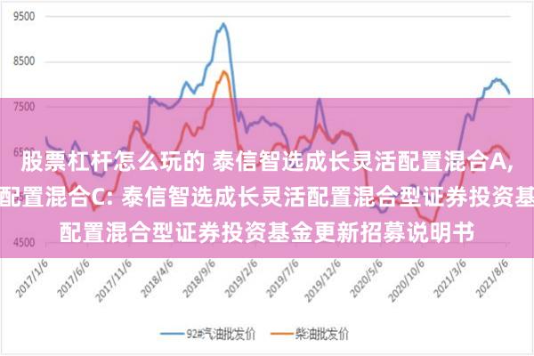 股票杠杆怎么玩的 泰信智选成长灵活配置混合A,泰信智选成长灵活配置混合C: 泰信智选成长灵活配置混合型证券投资基金更新招募说明书