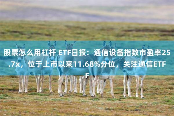 股票怎么用杠杆 ETF日报：通信设备指数市盈率25.7x，位于上市以来11.68%分位，关注通信ETF