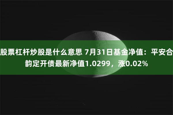 股票杠杆炒股是什么意思 7月31日基金净值：平安合韵定开债最新净值1.0299，涨0.02%