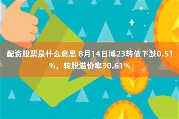 配资股票是什么意思 8月14日博23转债下跌0.51%，转股溢价率30.61%