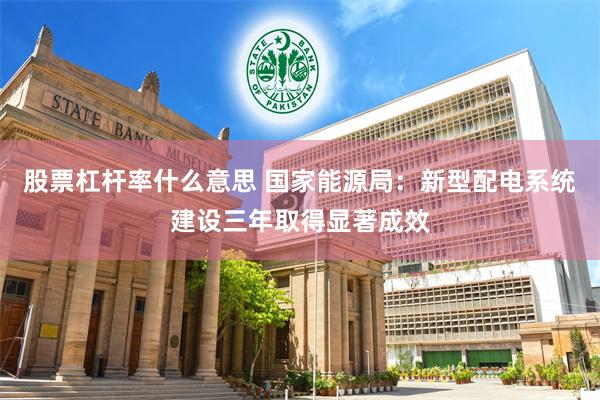 股票杠杆率什么意思 国家能源局：新型配电系统建设三年取得显著成效