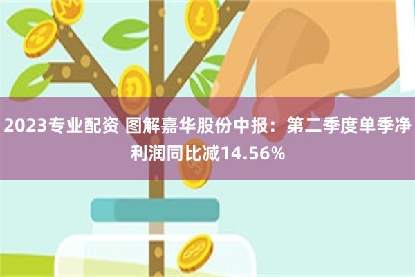 2023专业配资 图解嘉华股份中报：第二季度单季净利润同比减14.56%