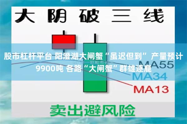 股市杠杆平台 阳澄湖大闸蟹“虽迟但到” 产量预计9900吨 各路“大闸蟹”群雄逐鹿