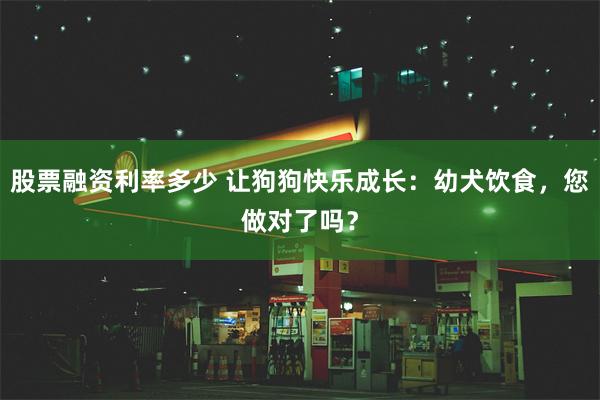 股票融资利率多少 让狗狗快乐成长：幼犬饮食，您做对了吗？