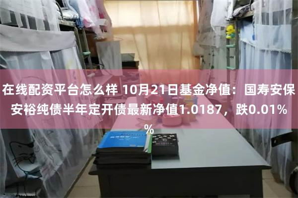 在线配资平台怎么样 10月21日基金净值：国寿安保安裕纯债半年定开债最新净值1.0187，跌0.01%