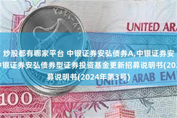 炒股都有哪家平台 中银证券安弘债券A,中银证券安弘债券C: 中银证券安弘债券型证券投资基金更新招募说明书(2024年第3号)