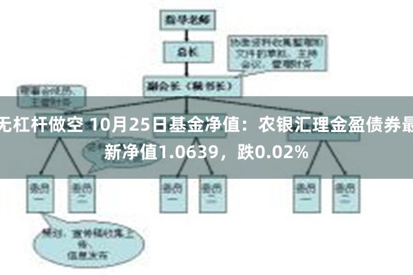 无杠杆做空 10月25日基金净值：农银汇理金盈债券最新净值1.0639，跌0.02%