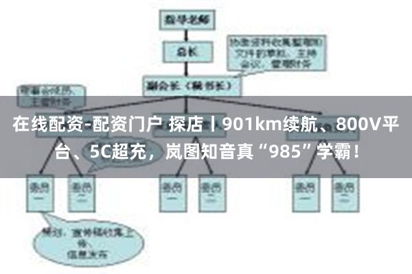 在线配资-配资门户 探店丨901km续航、800V平台、5C超充，岚图知音真“985”学霸！