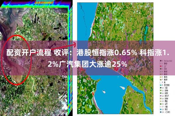 配资开户流程 收评：港股恒指涨0.65% 科指涨1.2%广汽集团大涨逾25%