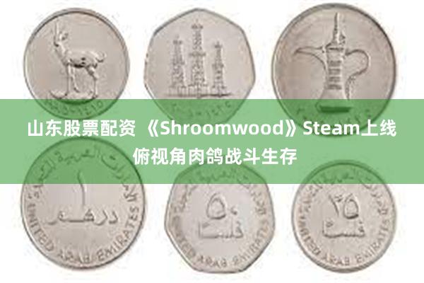 山东股票配资 《Shroomwood》Steam上线 俯视角肉鸽战斗生存